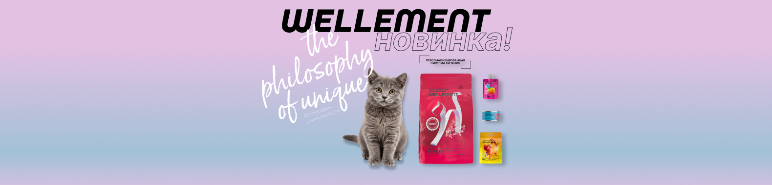 Новинка Wellement январь